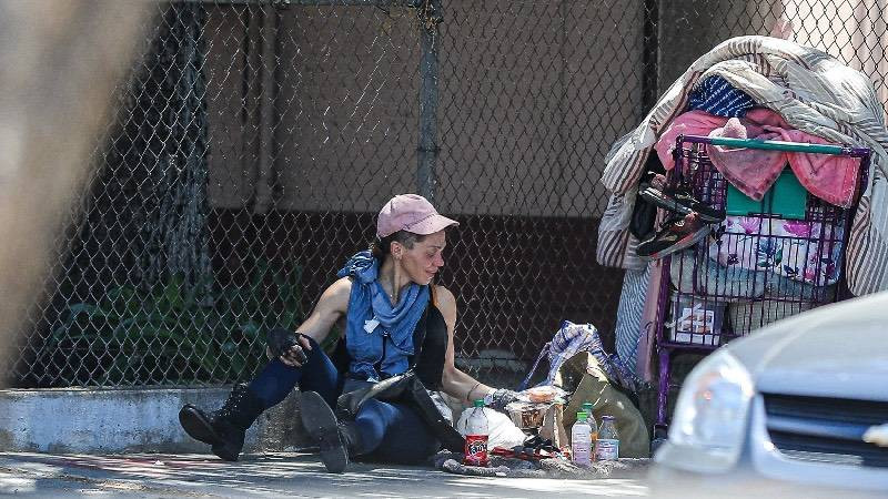 Ünlü model Loni Willison ön dişleri dökük yine çöp toplarken görüntülendi - Resim: 27